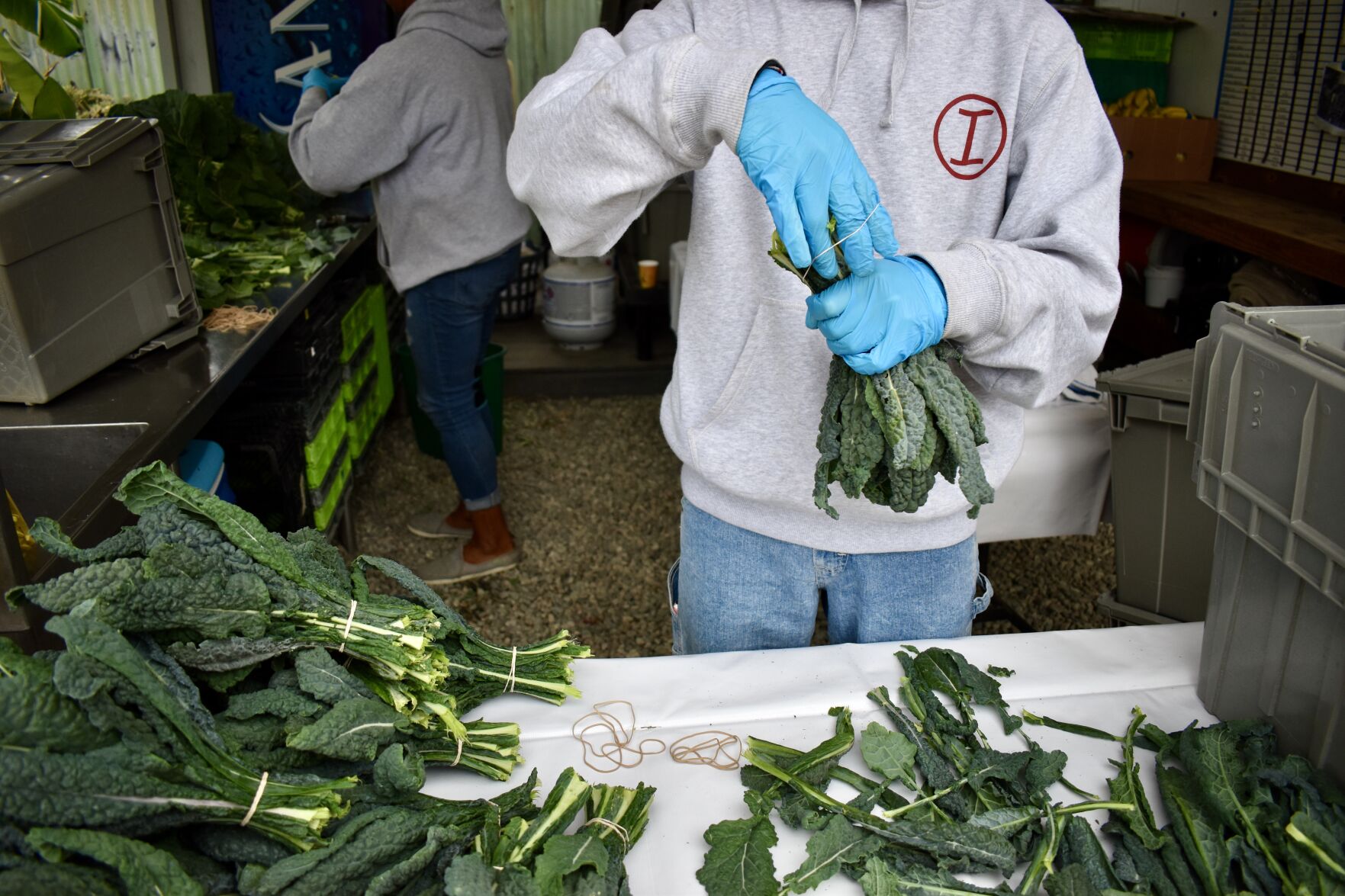 LMU alumni's Alma Backyard Farms promotes restorative justice in South LA